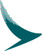 Cathay Pacific Virtual