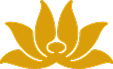 Vietnam Virtual